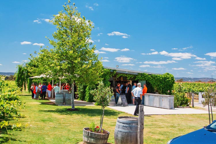 Swan Valley winery tour