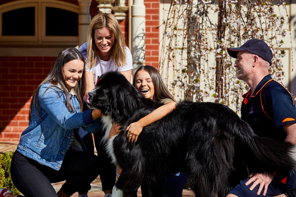 family with a large dog